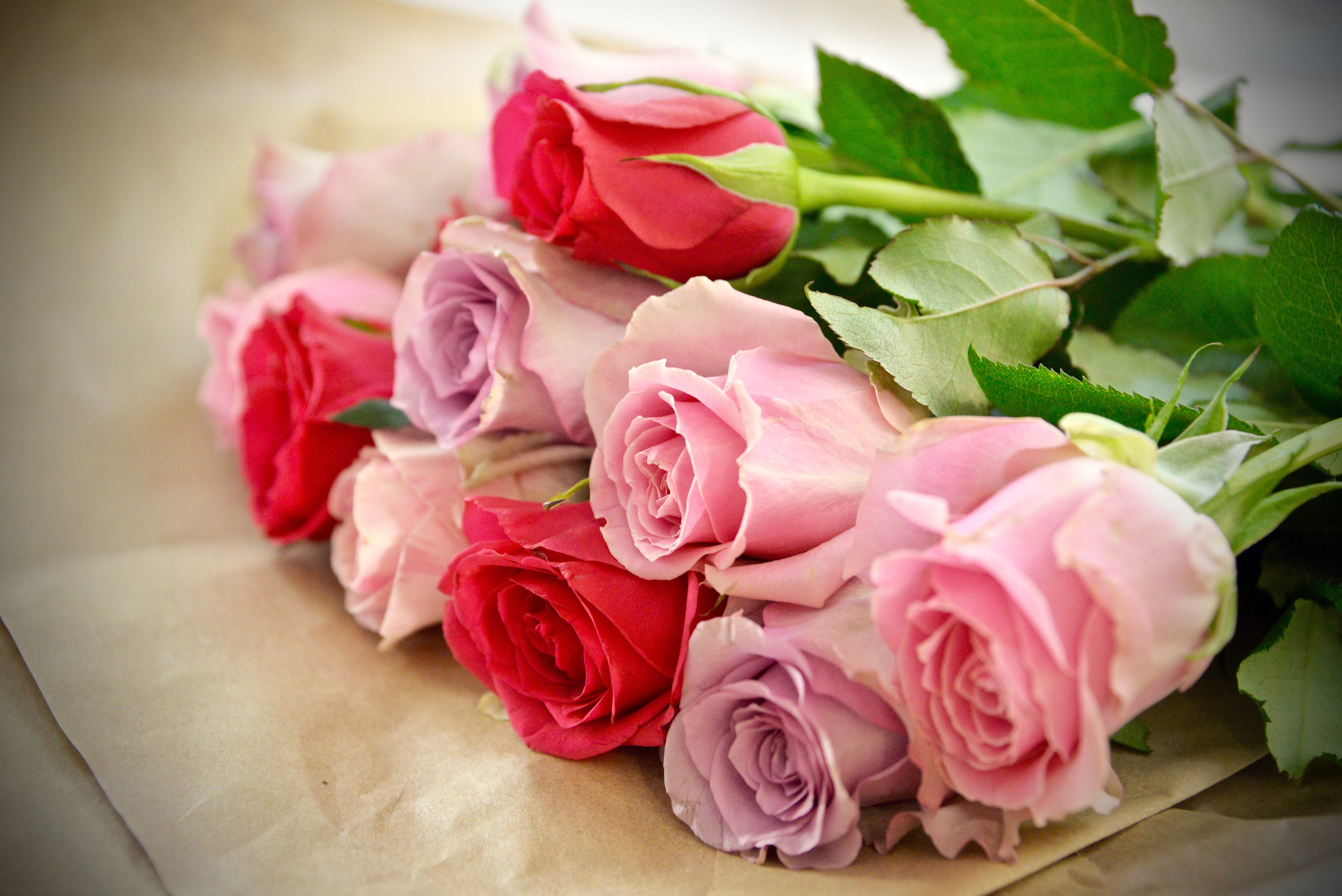 12 Red Or Mixed Roses Wrapped