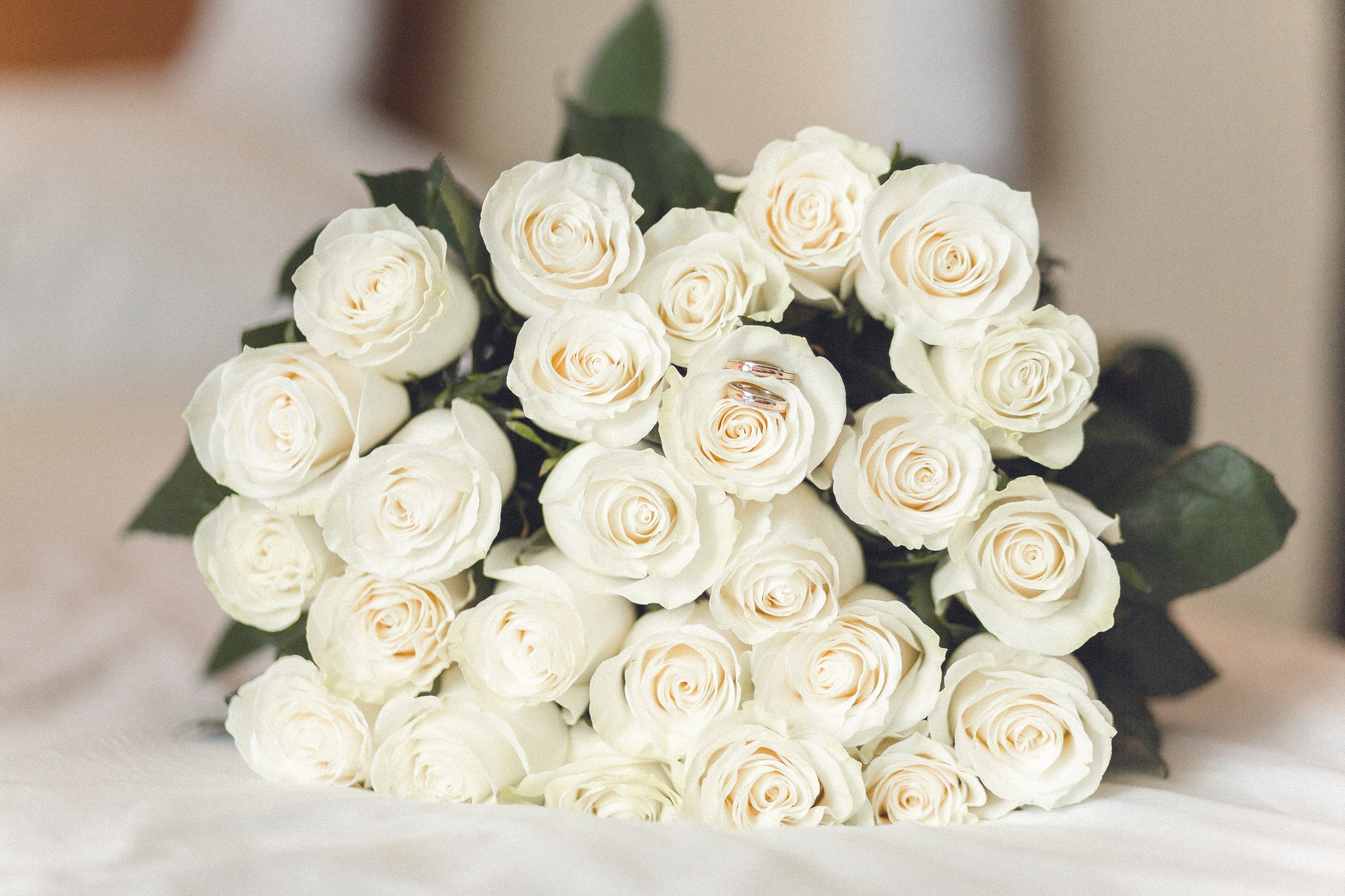 12 Red Or Mixed Roses Wrapped