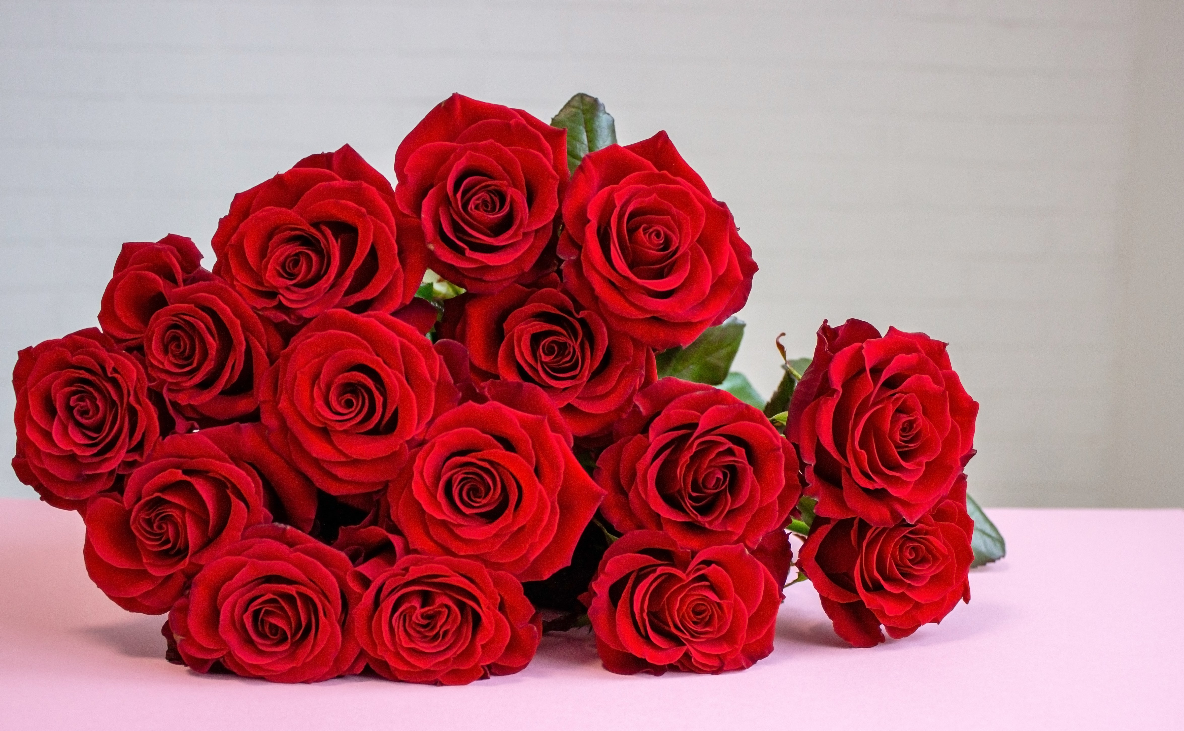 12 Red Or Mixed Roses Wrapped
