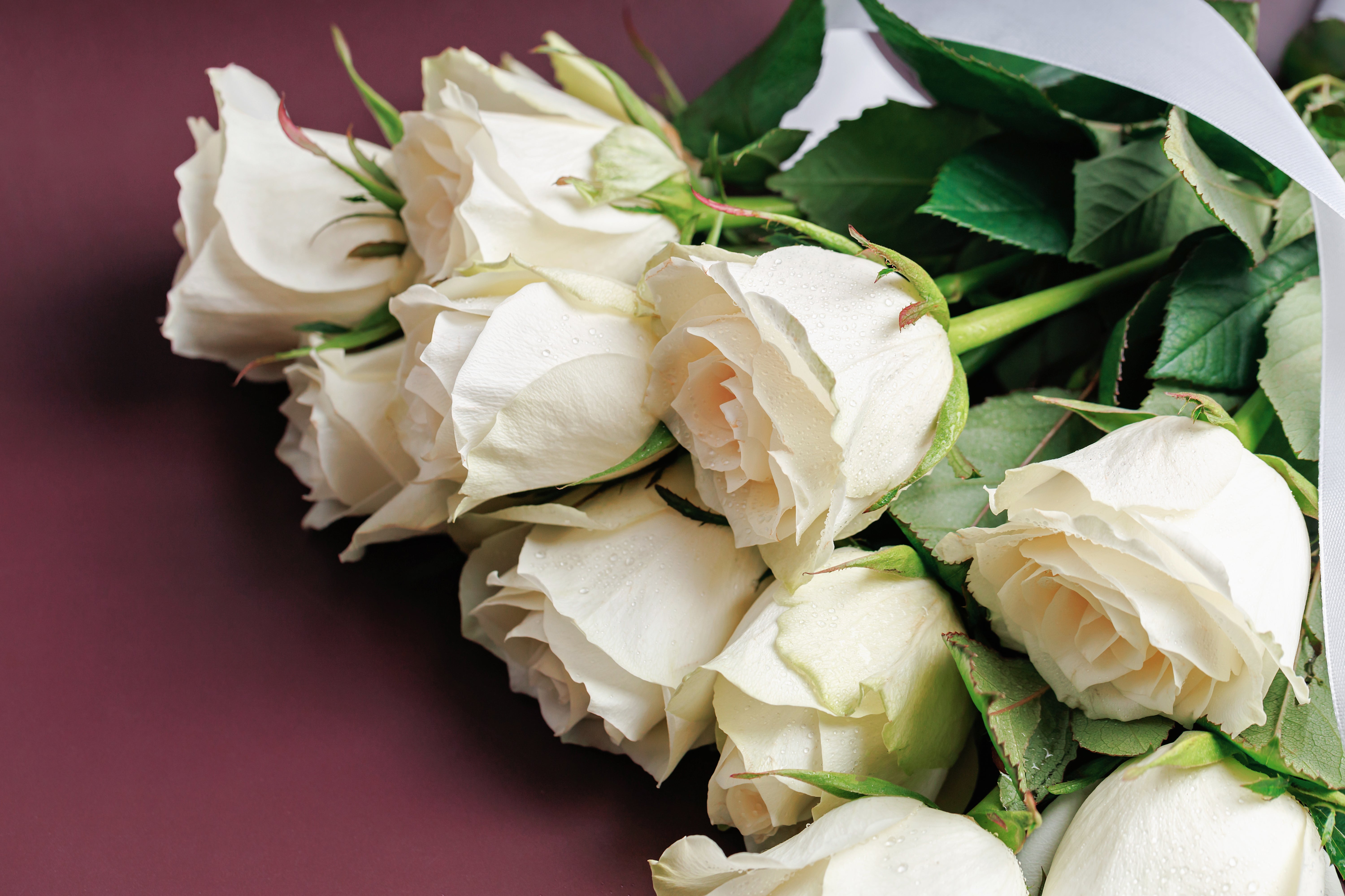 12 Red Or Mixed Roses Wrapped